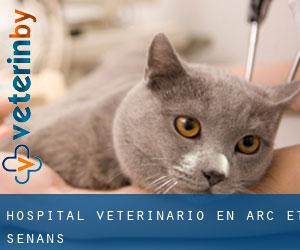 Hospital veterinario en Arc-et-Senans