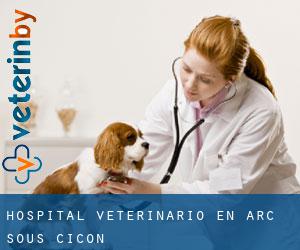 Hospital veterinario en Arc-sous-Cicon