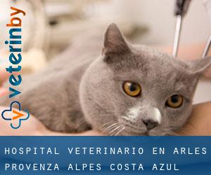 Hospital veterinario en Arles (Provenza-Alpes-Costa Azul)