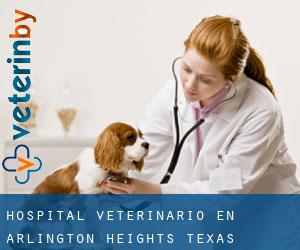 Hospital veterinario en Arlington Heights (Texas)