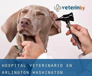 Hospital veterinario en Arlington (Washington)