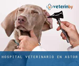 Hospital veterinario en Astor
