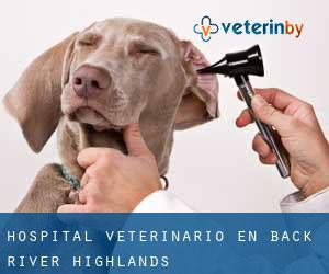 Hospital veterinario en Back River Highlands