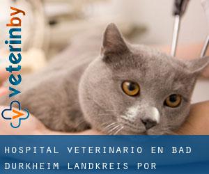 Hospital veterinario en Bad Dürkheim Landkreis por localidad - página 1