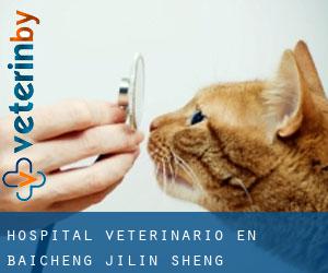 Hospital veterinario en Baicheng (Jilin Sheng)