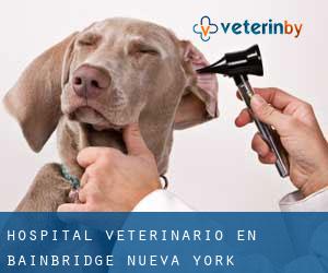 Hospital veterinario en Bainbridge (Nueva York)