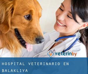 Hospital veterinario en Balakliya