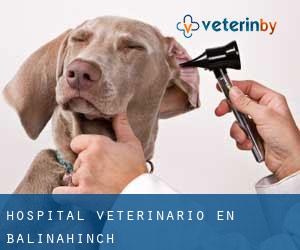 Hospital veterinario en Balinahinch