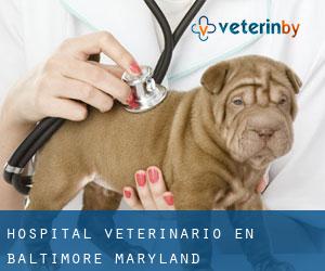 Hospital veterinario en Baltimore (Maryland)