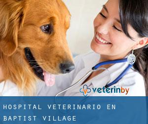 Hospital veterinario en Baptist Village