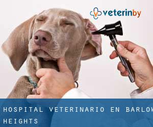 Hospital veterinario en Barlow Heights