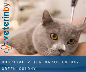Hospital veterinario en Bay Green Colony