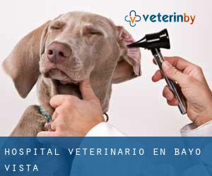 Hospital veterinario en Bayo Vista
