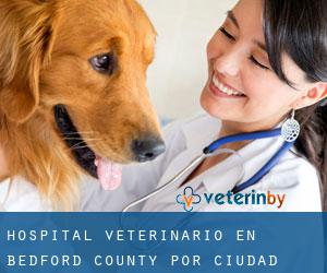 Hospital veterinario en Bedford County por ciudad - página 1
