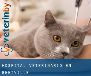Hospital veterinario en Beetville
