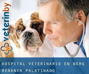 Hospital veterinario en Berg (Renania-Palatinado)