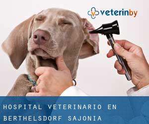 Hospital veterinario en Berthelsdorf (Sajonia)