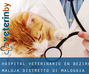 Hospital veterinario en Bezirk Maloja / Distretto di Maloggia