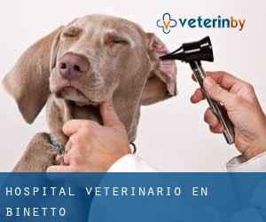Hospital veterinario en Binetto