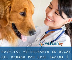 Hospital veterinario en Bocas del Ródano por urbe - página 1