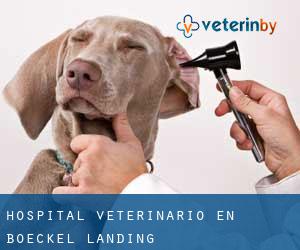 Hospital veterinario en Boeckel Landing