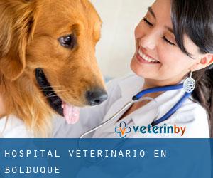 Hospital veterinario en Bolduque
