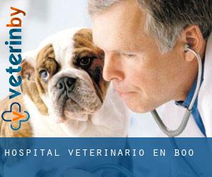 Hospital veterinario en Boo