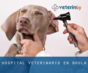Hospital veterinario en Boula