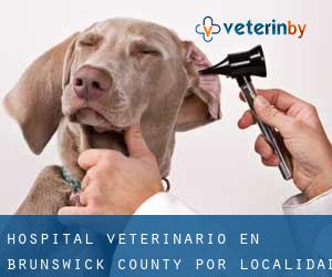 Hospital veterinario en Brunswick County por localidad - página 1