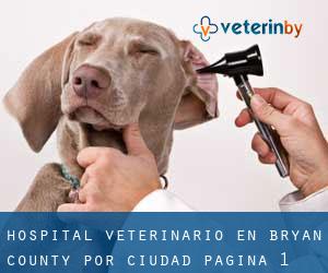 Hospital veterinario en Bryan County por ciudad - página 1