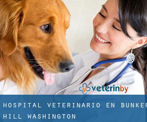 Hospital veterinario en Bunker Hill (Washington)