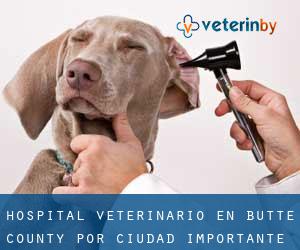 Hospital veterinario en Butte County por ciudad importante - página 1
