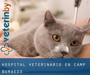 Hospital veterinario en Camp Burgess