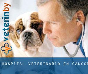 Hospital veterinario en Cancon