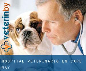 Hospital veterinario en Cape May