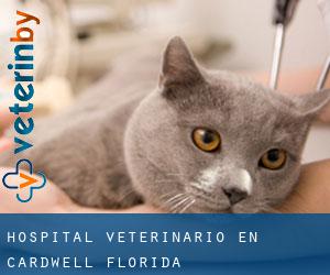 Hospital veterinario en Cardwell (Florida)