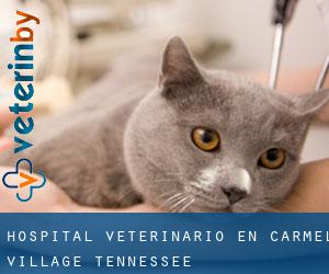 Hospital veterinario en Carmel Village (Tennessee)