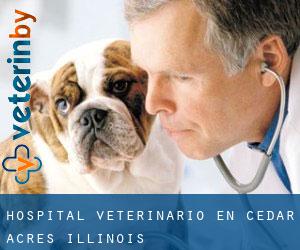 Hospital veterinario en Cedar Acres (Illinois)