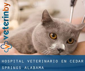 Hospital veterinario en Cedar Springs (Alabama)