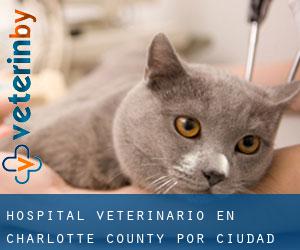 Hospital veterinario en Charlotte County por ciudad principal - página 1