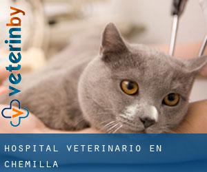 Hospital veterinario en Chemilla