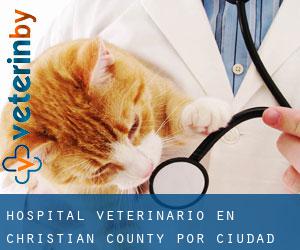 Hospital veterinario en Christian County por ciudad - página 1