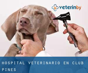 Hospital veterinario en Club Pines
