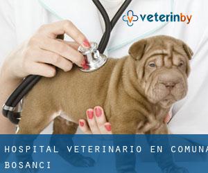 Hospital veterinario en Comuna Bosanci
