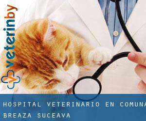Hospital veterinario en Comuna Breaza (Suceava)