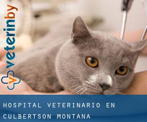 Hospital veterinario en Culbertson (Montana)