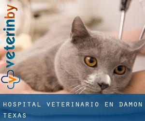 Hospital veterinario en Damon (Texas)