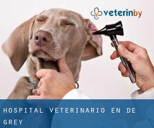 Hospital veterinario en De Grey