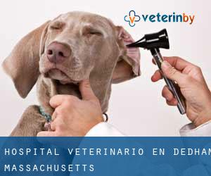 Hospital veterinario en Dedham (Massachusetts)