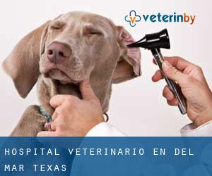 Hospital veterinario en Del Mar (Texas)